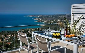 Absolute View